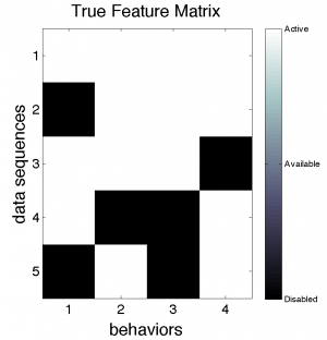 True Feature Matrix.